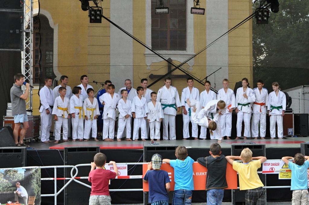 ukazky 2012__17.JPG